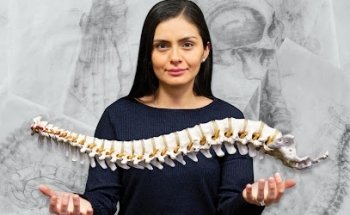 Sirucek Chiropractic Neurology Clinic