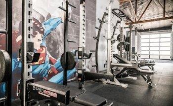 Vigor Ground Fitness and Performance