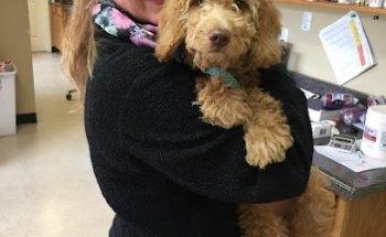 Natchez Trace Veterinary Services - Clinic & Holistic Telemedicine