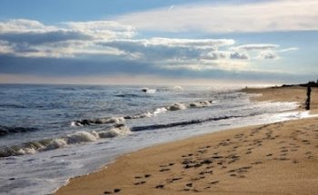 Healing Points Acupuncture & Wellness Center, Dr. Michelle Iona, DACM, L.Ac.