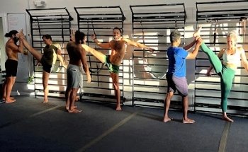 MOVE Gymnastics Inspired Strength Training