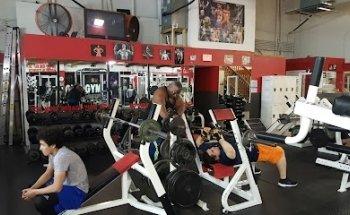 Profunda Transformación Física