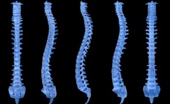 FERMIN CHIROPRACTIC & LASER - CHIROPRACTOR SAN MARCOS