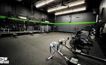 Everyday Fitness and Training