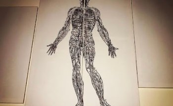 Poehlman Chiropractic & Nutrition Center