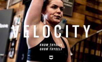 Velocity Human Design and Optimization