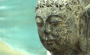 Lotus Integrative Medicine