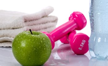 Mediplan Diet Services LLC