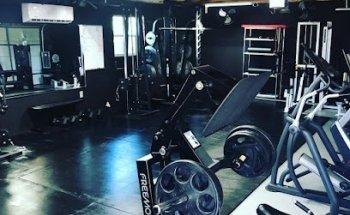 OGG Training Systems