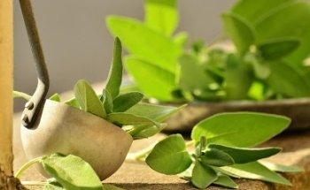 Permen Naturopathic, Inc.