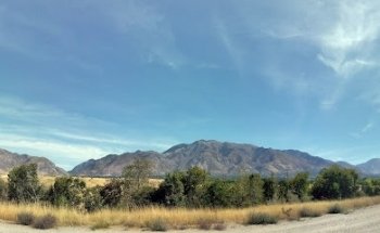 Cargill Animal Nutrition