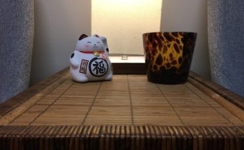 Catch a Fish Acupuncture & Wellness