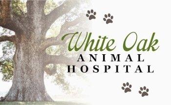 White Oak Animal Hospital - Clinic & Holistic Telemedicine