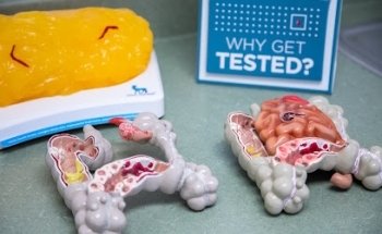 Hawaii Gastro Health