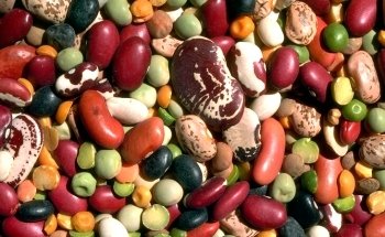 Dott.ssa Cipriani Biologo Nutrizionista - Firenze