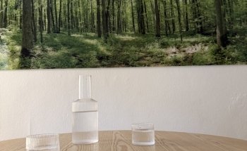 Irene von Meiss Ernährungsberatung in Zürich