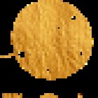 RIZOMA salud integral