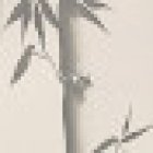 Zhi Acupuntec - Acupuntura Esparreguera