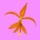 Germinal Barcelona | Herbolari, Complements i Cosmètica Natural