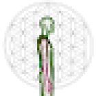 CENTRO DE OSTEOPATÍA, NUTRICIÓN, YOGA, ESTÉTICA ONCOLÓGICA Y TERAPIAS NATURALES