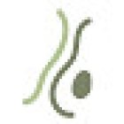 Laura Soret Nutrición - Dietista y Nutricionista en Donostia