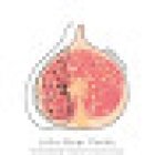 JÚLIA GINER CERDÀ NUTRICIONISTA