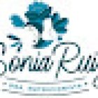 Dra. Sonia Ruiz Dietista Nutricionista Especialista en obesidad y alteraciones digestivas ( SIBO , intolerancias ... )