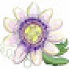 Centro de Terapias y Bienestar Mediterráneo