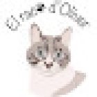 El racó d'Oliver (peluquería canina)