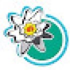 Nenúfar Medical Center