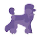 Mr & Mrs Dog - Peluquería Canina y Alimentación Natural