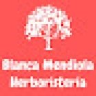 Blanca Mendiola Belardenda