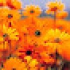 Farmacia Paula Briones Amor