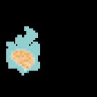 CONSULTA DE NUTRICIÓN | GUT & BRAIN