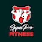 GYM PRO FITNESS VINAROS