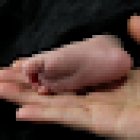 Pediatra Mara Cerqueiro Bybrant