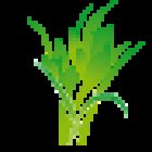 Herbolarios La Tisana