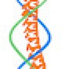 Clínica Dorsum Osteopatía y Fisioterapia