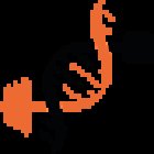 Dott. Carlini Giacomo