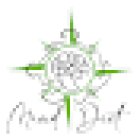 Dott.ssa Michela Portaluri - Biologa Nutrizionista