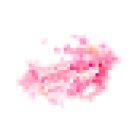 Nutrizionista Dott.ssa Gaia Poggi