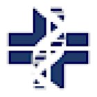 Dott. Flocchini Luca