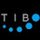 TIBodywork Institute