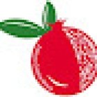 Dott.ssa Cristina Mosca Centro di Nutrizione