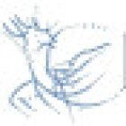 Fisiokinesis Fisioterapia