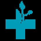 Médica Santa Carmen