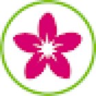 Nutriologa Alin Luna