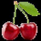 Simon Céline - Diététicienne nutritionniste comportementale agréée