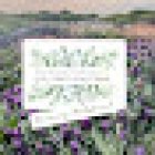 The Holistic Dietician, Diëtistenpraktijk DDiëtist