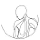 Nino van der Haar - Orthomoleculair Therapeut & Fysiotherapeut